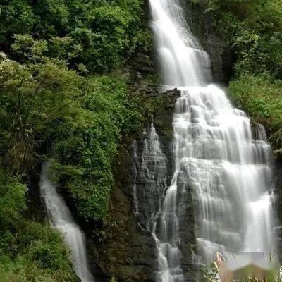 紫云白石岩乡开展2024年春风行动暨就业援助月宣传活动